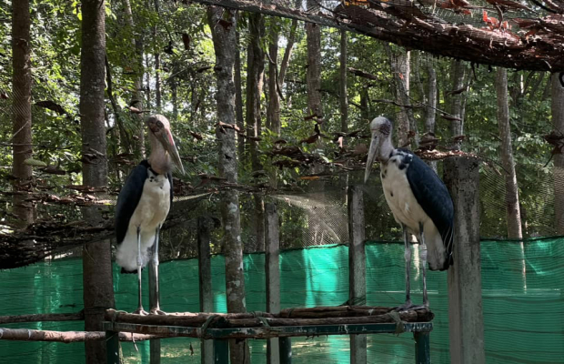 Cambodia 3 Days Tour Package
