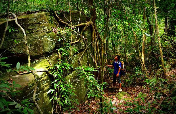 Aural Mountain Trek Cambodia Tallest Peak Challenge