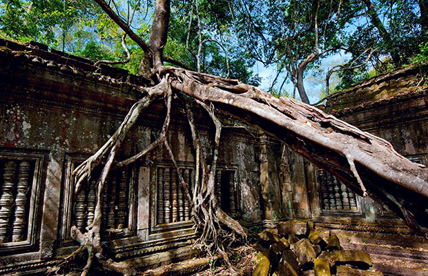 Angkor World Heritage 5-Day