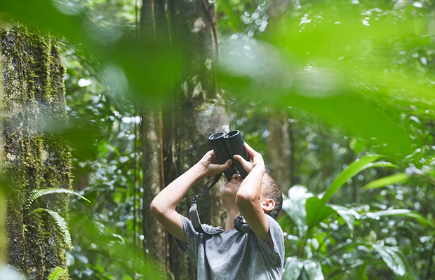 The Best Birding Tour in Cambodia