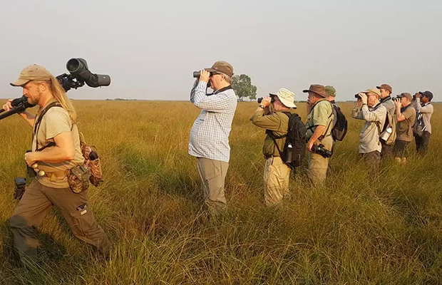 The Best Birding Tour in Cambodia