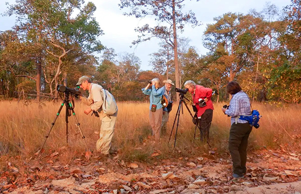 The Best Birding Tour in Cambodia