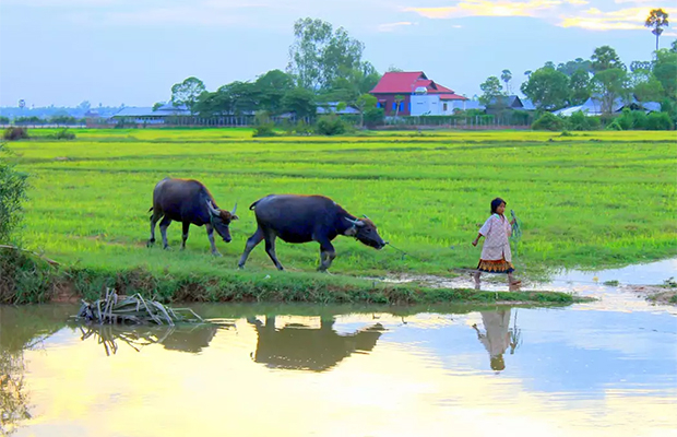 CYCLING AROUND TONLE SAP LAKE 09 DAYS