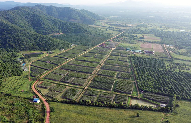 Kampot Kep Paper Farm Old French Architectures