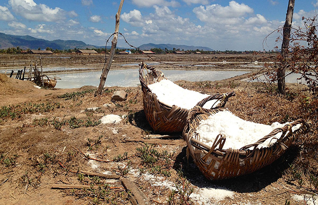 Kampot Kep Paper Farm Old French Architectures