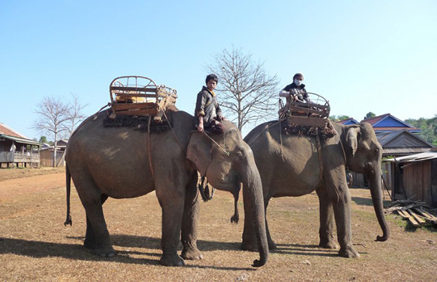 Phnom Kraol Cultural Resort