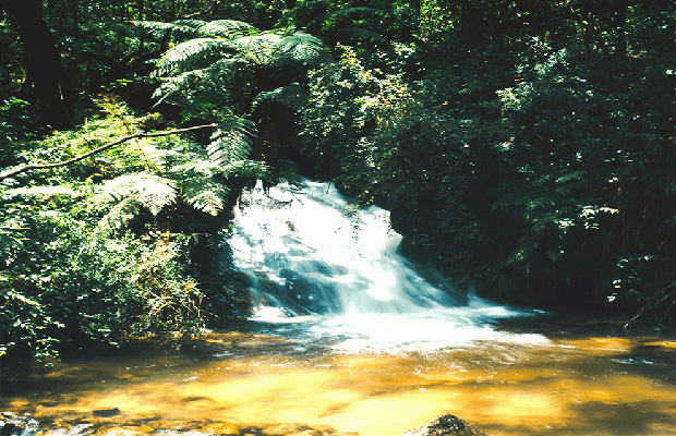 Pich Chenda Waterfall