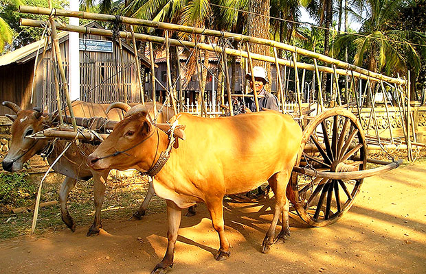 Ratanakiri Economy