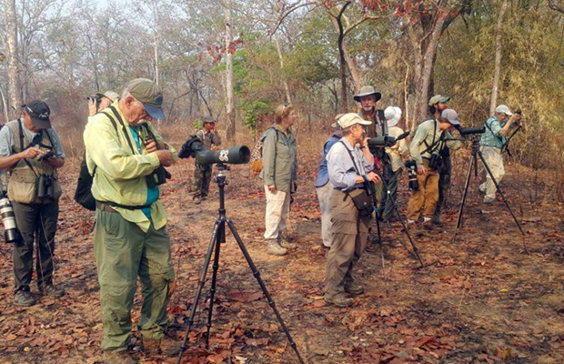 Strenuous Birding Cambodia 20-day