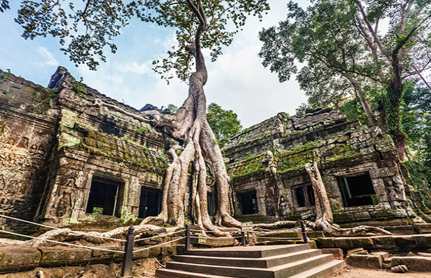 Ta Prohm Temple 1