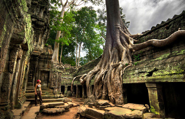 Ta Prohm Temple 1