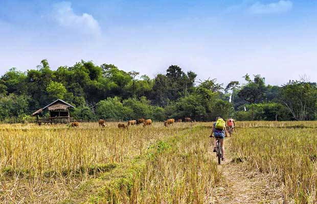 Battambang Cycling Tours