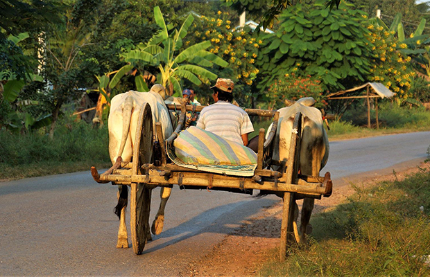 Ultimate Cambodian Adventure