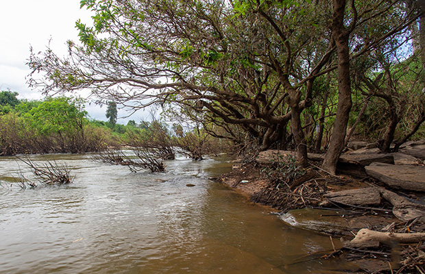 Wat Preah Sedai & Pursat River