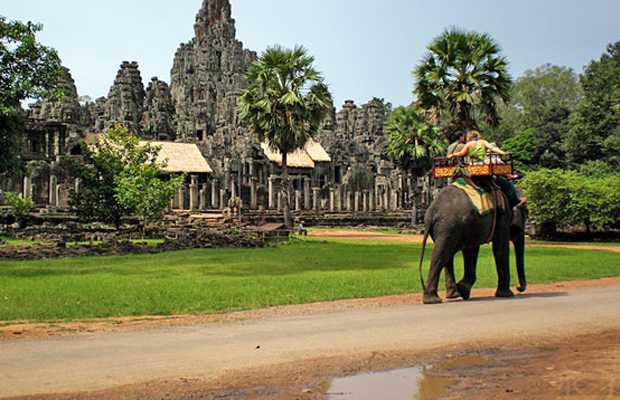 Bakheng Mountain Elephant Rides