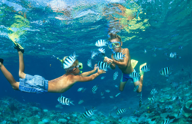 Beach Diving & Snorkeling 1