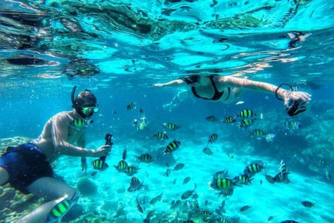 Beach Diving & Snorkeling 2