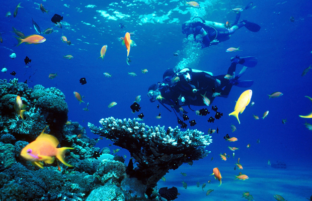 Beach Diving & Snorkeling 3