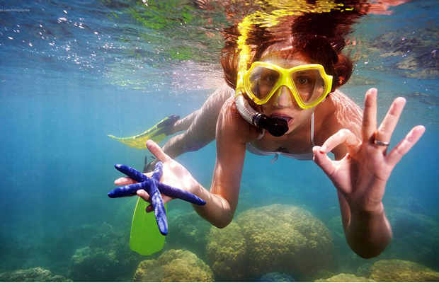 Beach Diving & Snorkeling