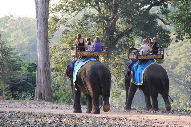 Elephant Rides in Angkor Thom Area