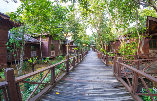 Mangrove Forest resort in Koh Kong Province, Cambodia 