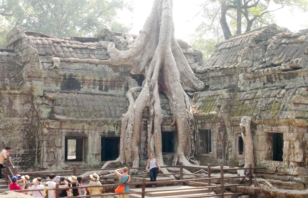 Ta Prohm Temple Day Trips