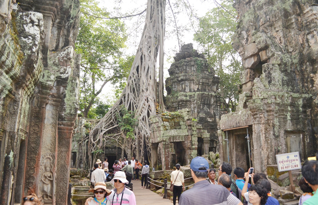 Ta Prohm Temple Group Day Trips