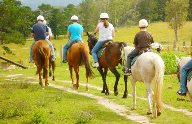 The Happy Ranch Horse Farm - Family Trips