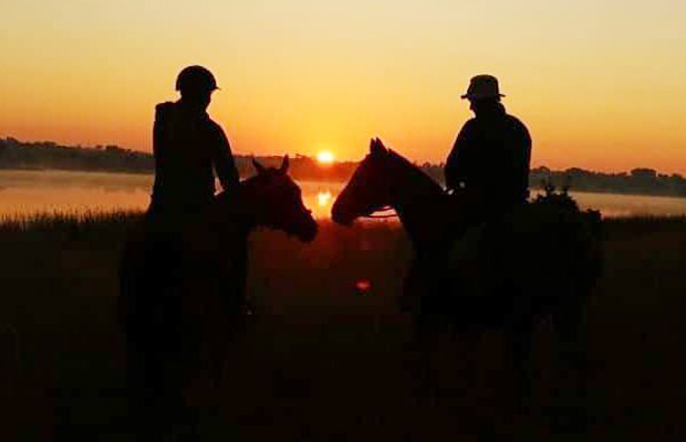 The Happy Ranch Horse Farm - Sunset Tours