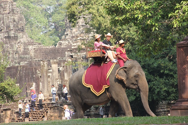 Tourist with Elephant Rides in Bayon Area