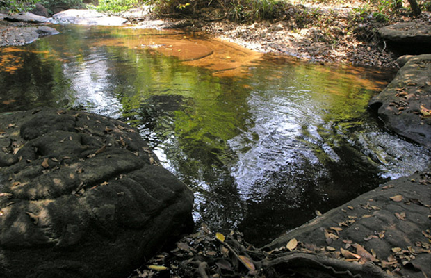 Virachey National Park 4