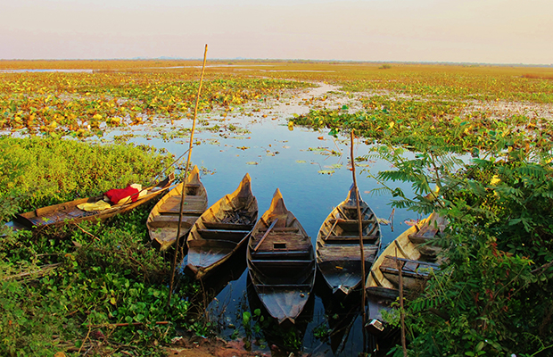 Phnom Krom Marshland Birding Trip