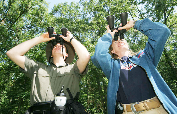 Sam Veasna Center (Bird Watch)